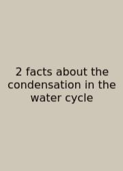 2 Facts About The Condensation In The Water Cycle
