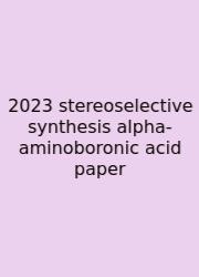 2023 Stereoselective Synthesis Alpha-aminoboronic Acid Paper