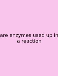 Are Enzymes Used Up In A Reaction
