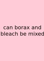 Can Borax And Bleach Be Mixed