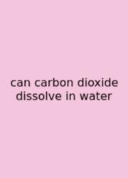 Can Carbon Dioxide Dissolve In Water