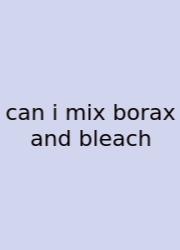Can I Mix Borax And Bleach