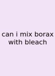 Can I Mix Borax With Bleach