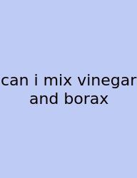 Can I Mix Vinegar And Borax