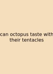 Can Octopus Taste With Their Tentacles