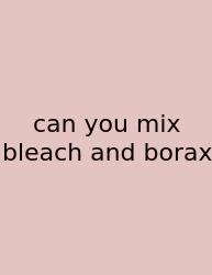 Can You Mix Bleach And Borax
