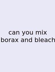 Can You Mix Borax And Bleach