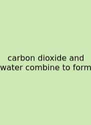 Carbon Dioxide And Water Combine To Form