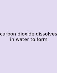 Carbon Dioxide Dissolves In Water To Form