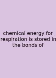 Chemical Energy For Respiration Is Stored In The Bonds Of
