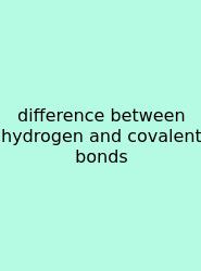 Difference Between Hydrogen And Covalent Bonds