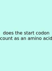 Does The Start Codon Count As An Amino Acid