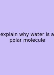 Explain Why Water Is A Polar Molecule