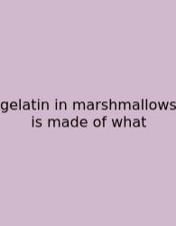 Gelatin In Marshmallows Is Made Of What