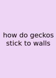 How Do Geckos Stick To Walls