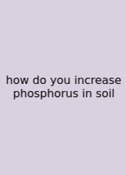 How Do You Increase Phosphorus In Soil