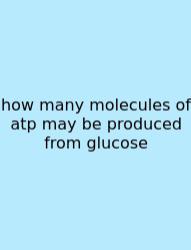 How Many Molecules Of Atp May Be Produced From Glucose