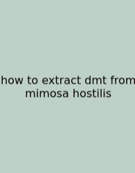 How To Extract Dmt From Mimosa Hostilis