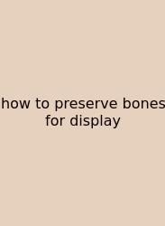 How To Preserve Bones For Display