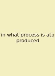 In What Process Is Atp Produced