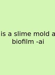 Is A Slime Mold A Biofilm -ai