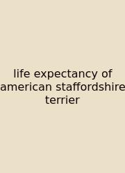 Life Expectancy Of American Staffordshire Terrier