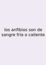 Los Anfibios Son De Sangre Fria O Caliente