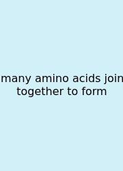Many Amino Acids Join Together To Form