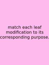 Match Each Leaf Modification To Its Corresponding Purpose.