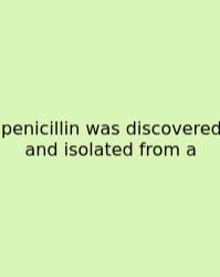 Penicillin Was Discovered And Isolated From A