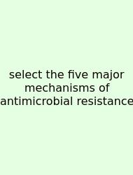 Select The Five Major Mechanisms Of Antimicrobial Resistance