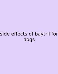 Side Effects Of Baytril For Dogs