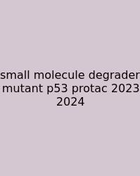 Small Molecule Degrader Mutant P53 Protac 2023 2024