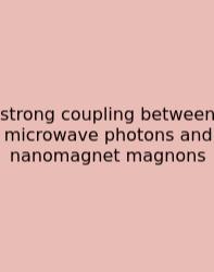 Strong Coupling Between Microwave Photons And Nanomagnet Magnons