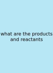 What Are The Products And Reactants