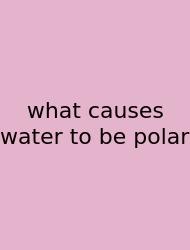 What Causes Water To Be Polar
