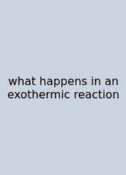 What Happens In An Exothermic Reaction