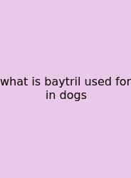 What Is Baytril Used For In Dogs