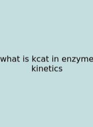 What Is Kcat In Enzyme Kinetics