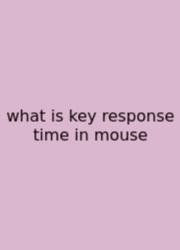 What Is Key Response Time In Mouse