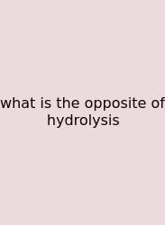 What Is The Opposite Of Hydrolysis