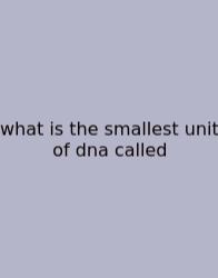 What Is The Smallest Unit Of Dna Called