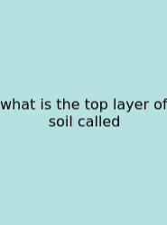 What Is The Top Layer Of Soil Called