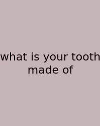 What Is Your Tooth Made Of