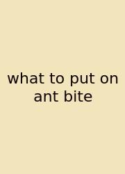 What To Put On Ant Bite