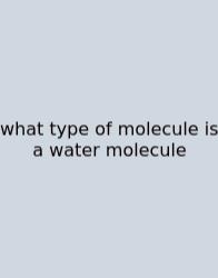 What Type Of Molecule Is A Water Molecule