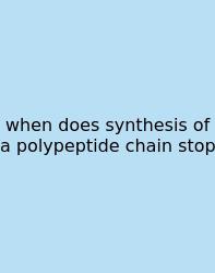 When Does Synthesis Of A Polypeptide Chain Stop