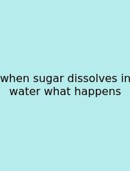 When Sugar Dissolves In Water What Happens