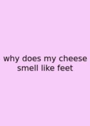 Why Does My Cheese Smell Like Feet